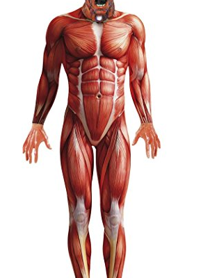 Anatomie Kostüm